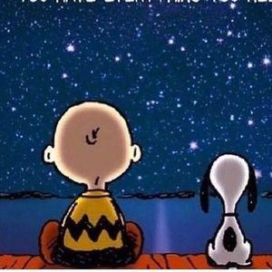 Meet your Posher, Cyn